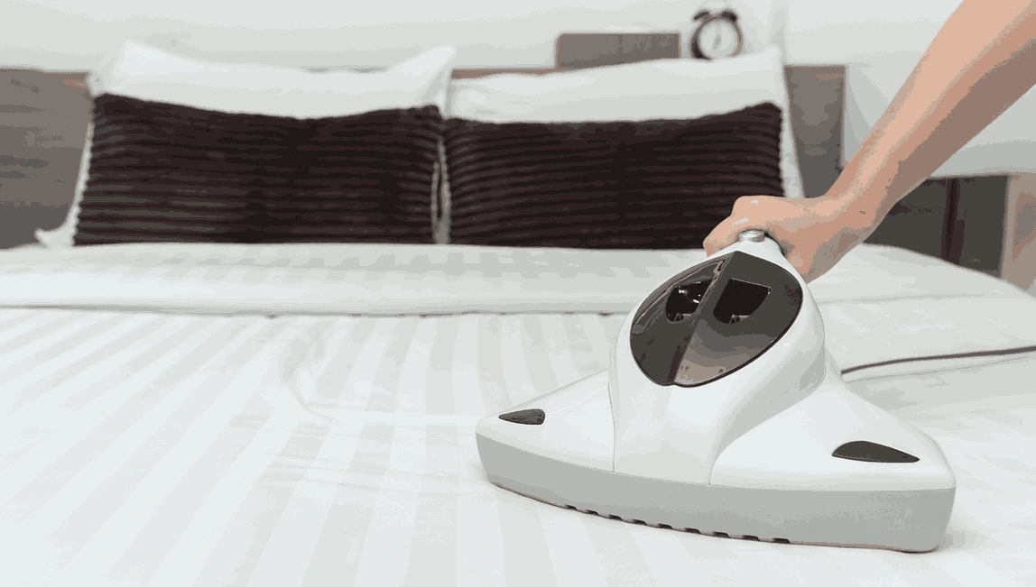 Professional Mattress Cleaning Nangana